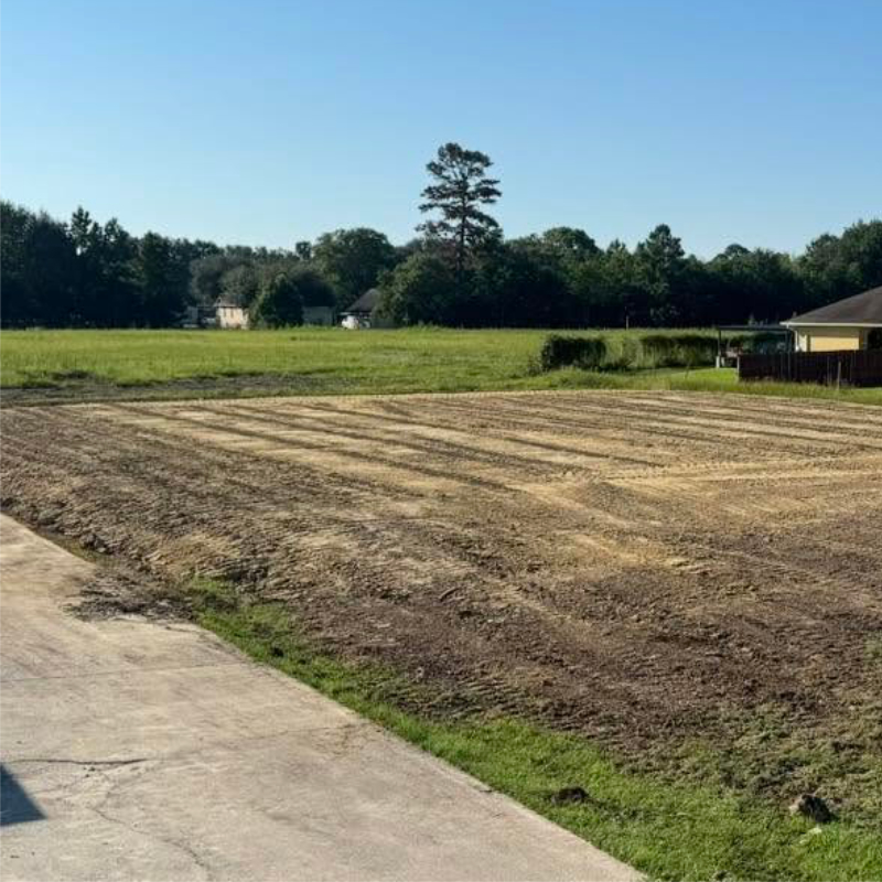 New House Site